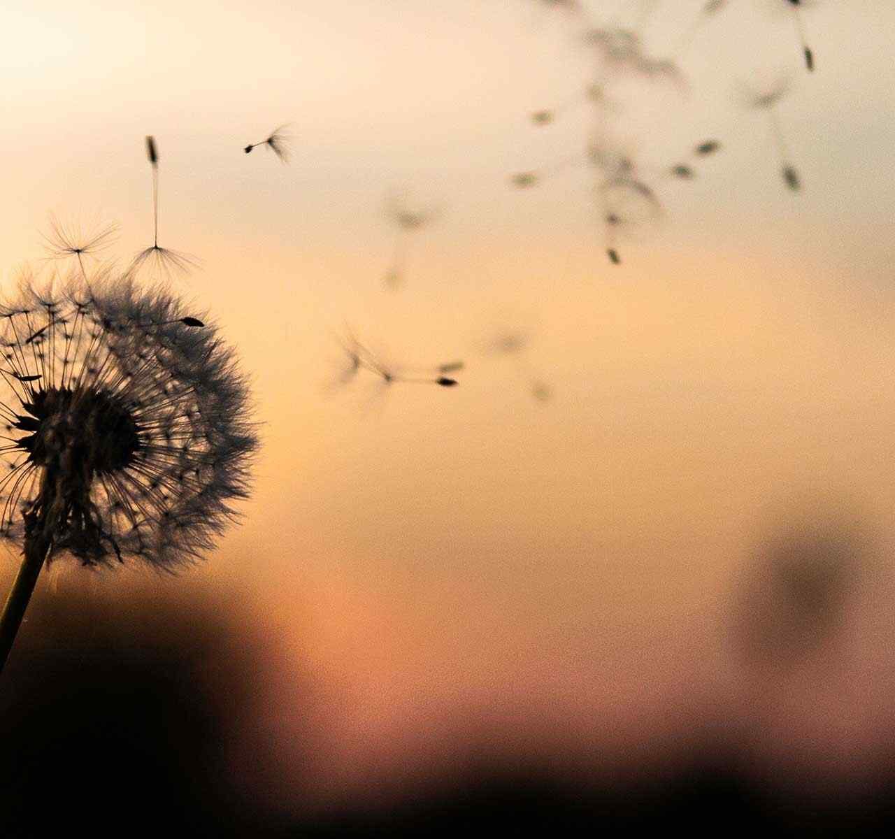 https://www.pinalesstachler.com/wp-content/uploads/2018/09/post_02-1280x1200.jpg