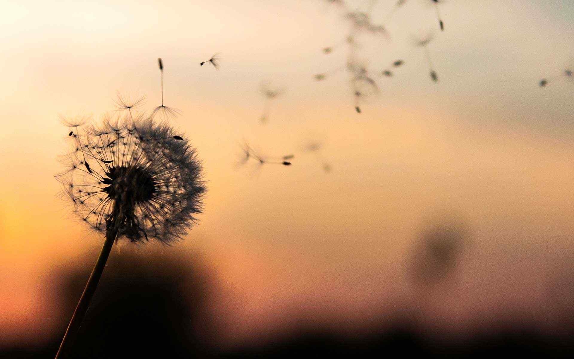 https://www.pinalesstachler.com/wp-content/uploads/2018/09/post_02.jpg